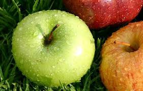 jabuka luk med bešika narodni lijek