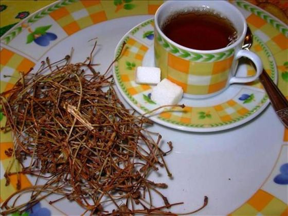 čaj peteljke višnja trešnja bešika narodni lijek kukuruz svila