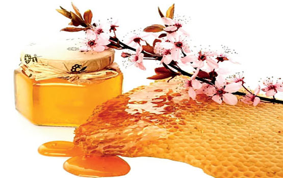 Liječenje lipovim medom