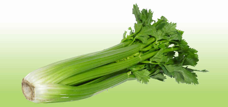 Celer protiv hronove bolesti