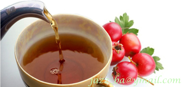 Čaj od crvenog gloga pomaže kod hipotenzije