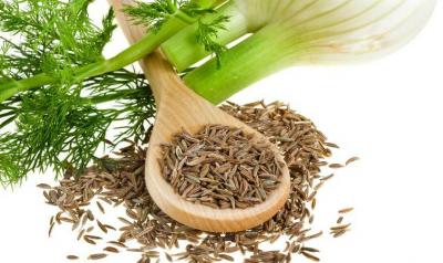Liječenje enureze sjemenom mirođije